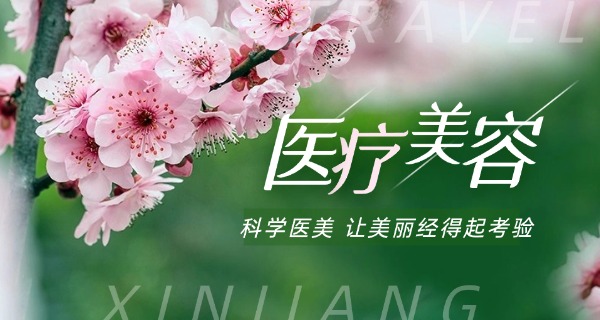 学宠物美容培训报名-学宠物美容报名